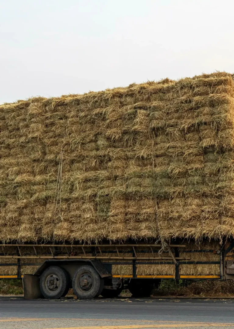 Especialistas en compra y venta de pajilla-1
