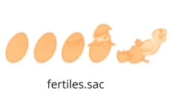 WhatsApp Image 2025-12-05 at 16.31.20